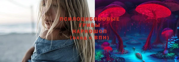 дживик Аркадак