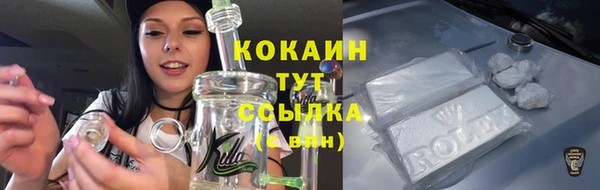 дживик Аркадак